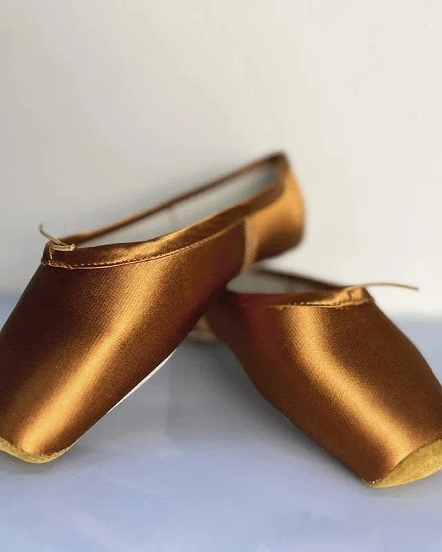 Chaussons de pointe danse